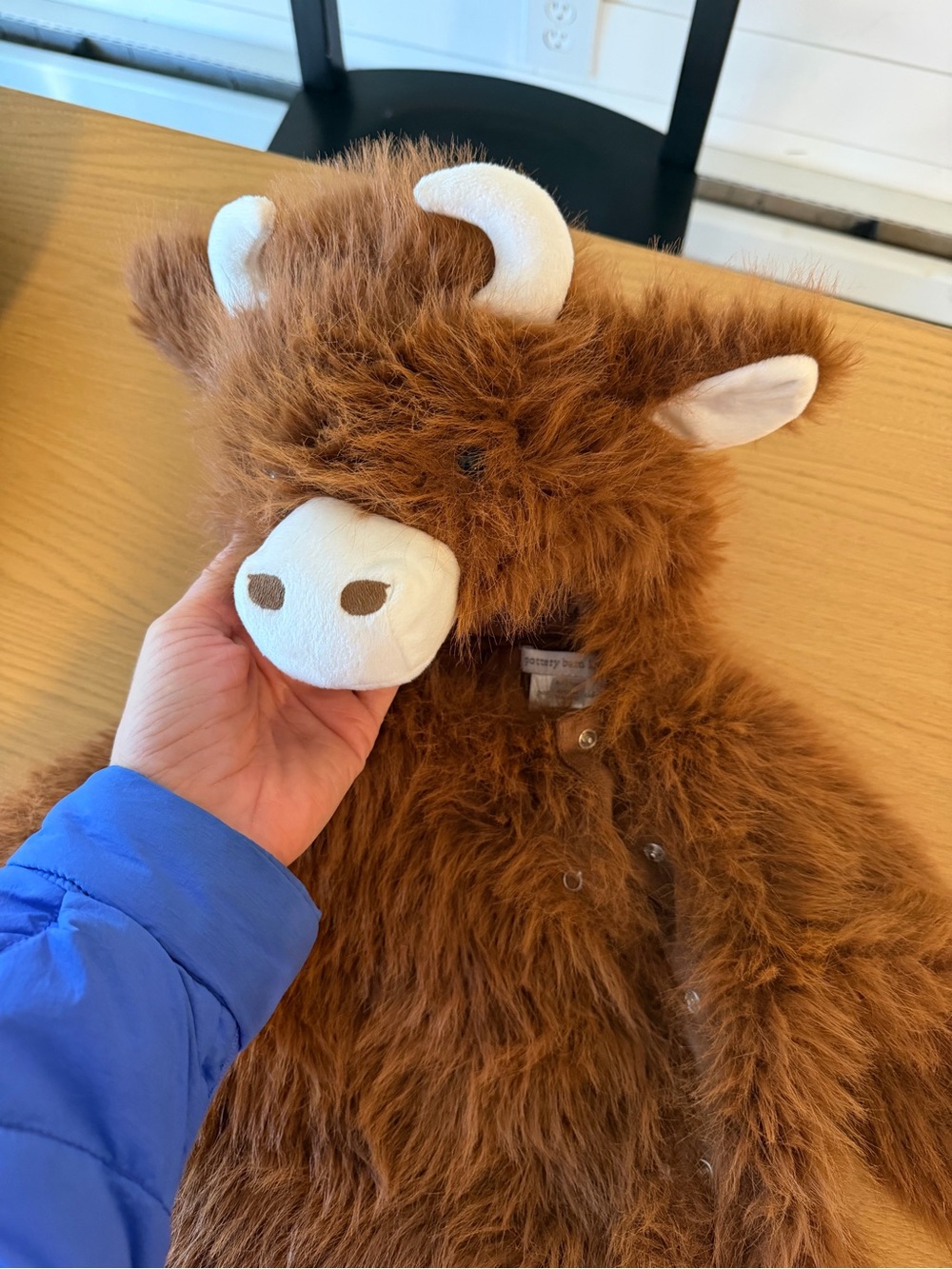 Plush Brown Highland Cow Costume - Pottery Barn